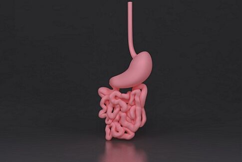 intestin parasité
